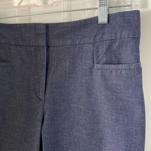 Ann Taylor Factory capri chinos size 4P - Picture 5 of 12